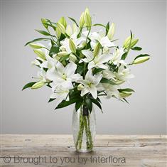Luxury lily vase