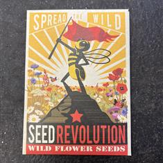 Wild flower seeds 