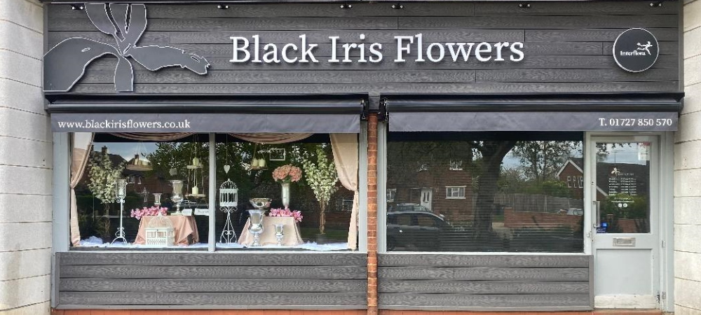 Black Iris Flowers