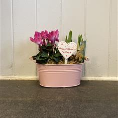 Small Zinc Spring Planter
