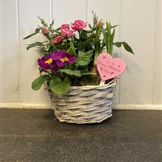 Two Tone Spring Planter