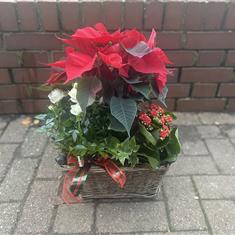 Christmas planter-florist choice 