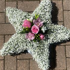 Star-gypsophila 