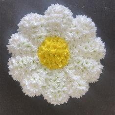 Daisy Flower 