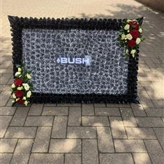 Tv-Bush 
