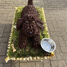 Poodle Dog