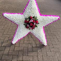 Standing Star 3ft