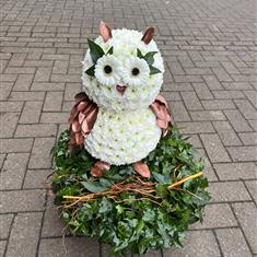 Owl 