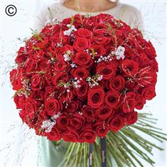 Lavish Valentine's 100 Red Rose Hand-tied